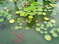景点-西塔
