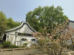 -古琴台