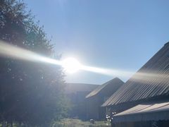 -喀纳斯禾木山庄