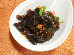 -陈生记黑鱼馆·20年活鱼现杀(宁波鼓楼店)