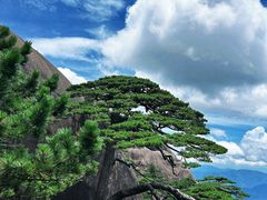 -黄山风景区