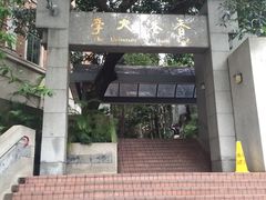 -香港大学