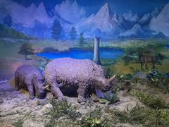 -中国第四纪冰川遗迹陈列馆