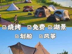 -春花秋色城市公园