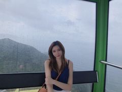 -Rainforest