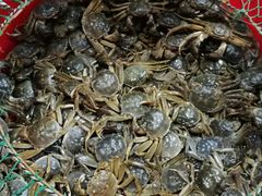 -青石桥市场北1-27号