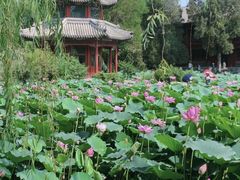 -莲池书院博物馆