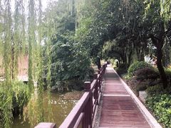 -天赐温泉