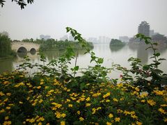 -眉山湿地公园(东坡区)