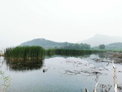 -十三陵水库