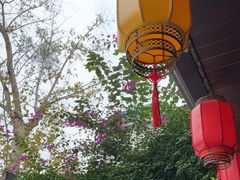 -院8里·少城记忆老川菜(宽窄巷子店)