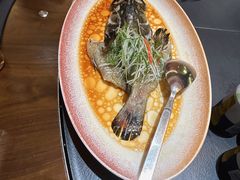 -曼格纳·曼芯馆(杨浦店)