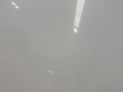 -大商麦凯乐(大连总店)