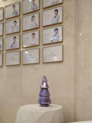 -四川娇点医学美容医院