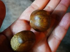 -阿男野栗王(金门路店)