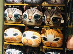 -猫咪博物馆(顶澳仔猫街店)