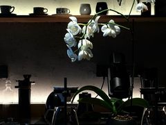-不正咖啡(万达尊店)