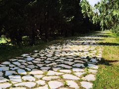 -秦始皇帝陵博物院-丽山园