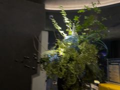 -唐宫足道·SPA·住宿24H会所(木渎店)