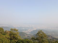 -黄埔油麻山森林公园
