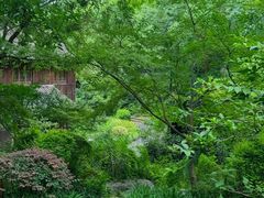 -中国茶叶博物馆(双峰馆区)