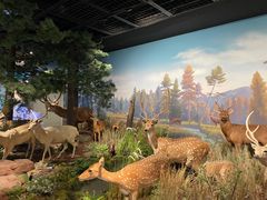 -陕西自然博物馆