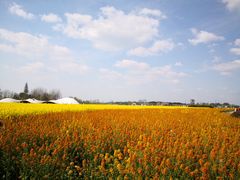 -中国天府农业博览园