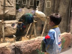 -KKV(深圳宏发大仟里店)