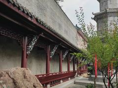 -长春观