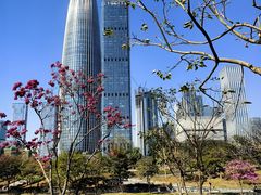 -深圳人才公园
