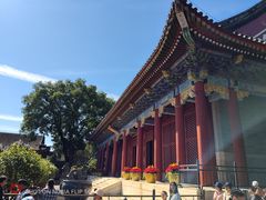 -龙湖星悦荟(颐和店)