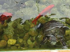 -仙林宾馆-餐厅