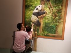 -成都泰迪熊博物馆
