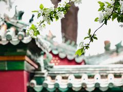 -北海公园