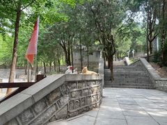-四门塔风景区