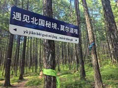 -莫尔道嘎国家森林公园