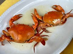 -台山美食一绝阿四台山黄鳝饭(阿四创作店)