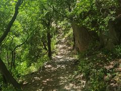 -北京鹫峰国家森林公园