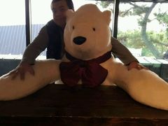 -济州岛泰迪熊博物馆