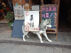 -飘香酒馆·私房菜