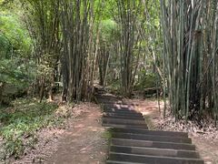 -凤栖山
