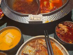 -牛New寿喜烧(金鹰世界店)