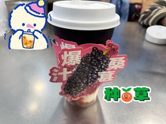 桑葚莓莓酸奶多-7分甜(观前碧凤坊店)