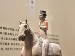 -浙江省博物馆(孤山馆区)