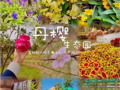 -丹樱生态园