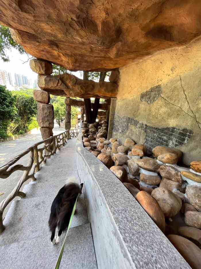 山水农庄-"常常吃窑鸡,从深圳周边吃的西丽,以前在惠.