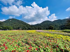 -广州市石门国家森林公园