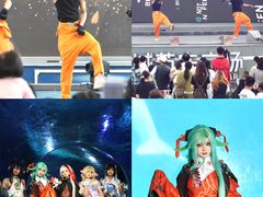 -海合安武汉极地海洋公园