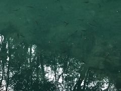 -玉女潭景区