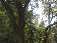-白鹿洞书院